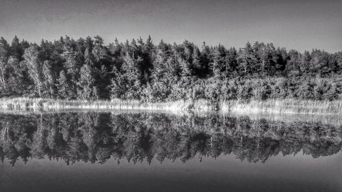 Scenic view of lake in forest against sky
