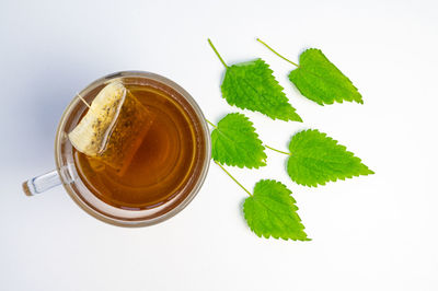 Nettle infusion in transparent cup, a sachet in water, a white saucer  and nettle leaves. 