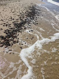 High angle view of beach