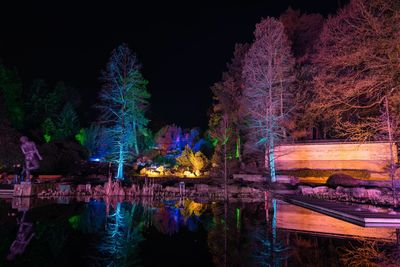 Illuminated trees by lake against sky at night