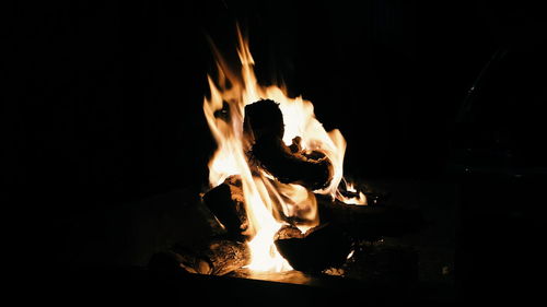 Close-up of bonfire at night