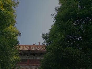 Low angle view of trees and building against sky