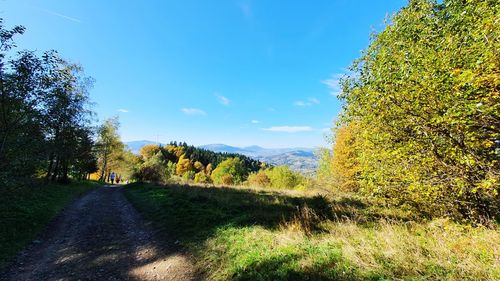 Road amidst trees on field against sky