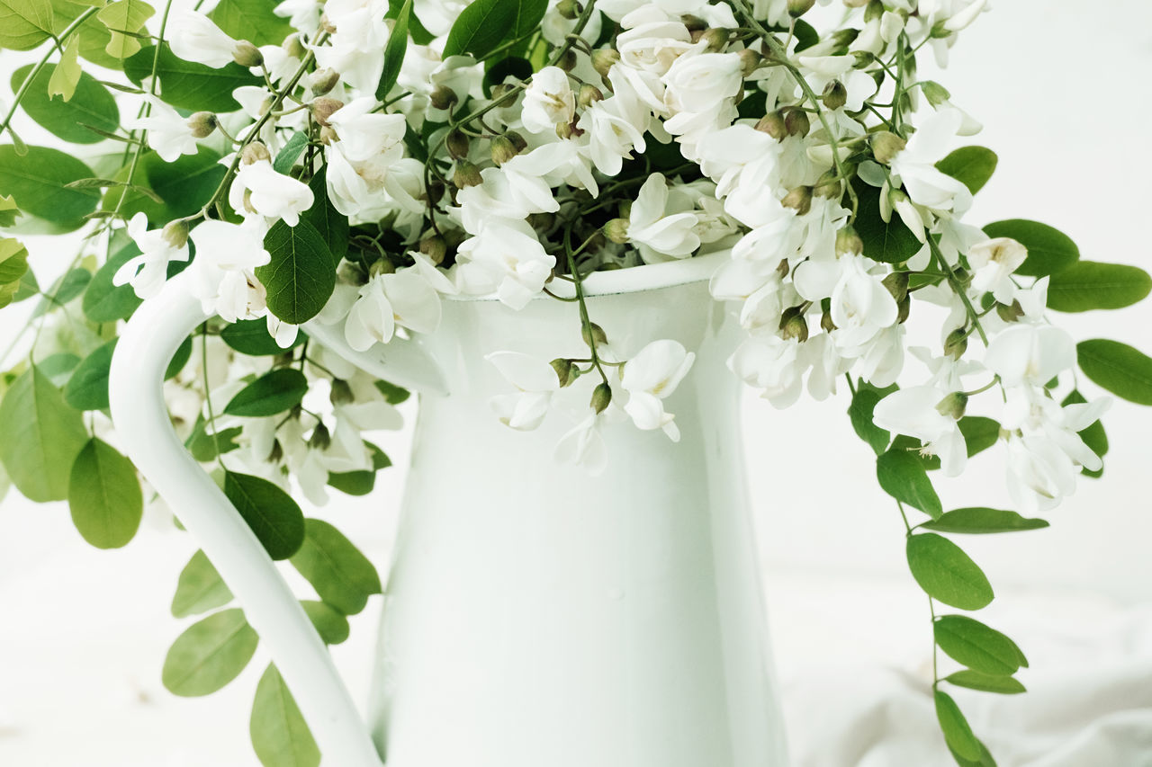 CLOSE-UP OF WHITE FLOWER VASE