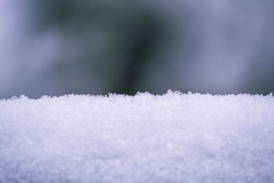 Close-up of snow covered land