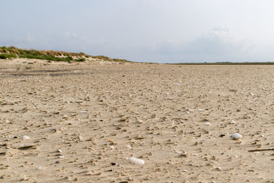 Scenic view of desert against sky