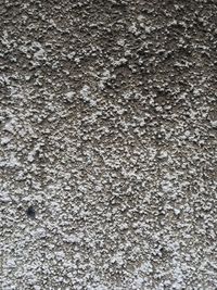 Full frame shot of ground