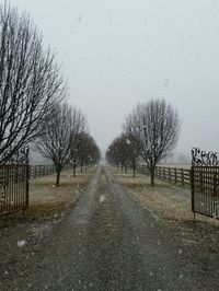 Empty road along bare trees