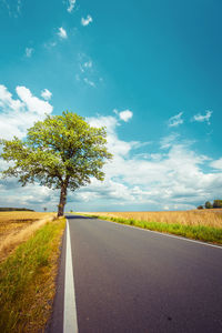 Empty road by trees on field against sky