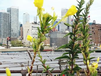 Buildings in city against sky