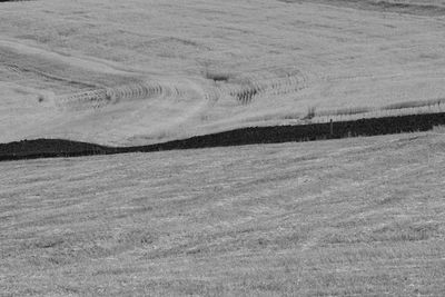 High angle view of field