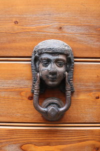 Close-up of a cat with wooden door