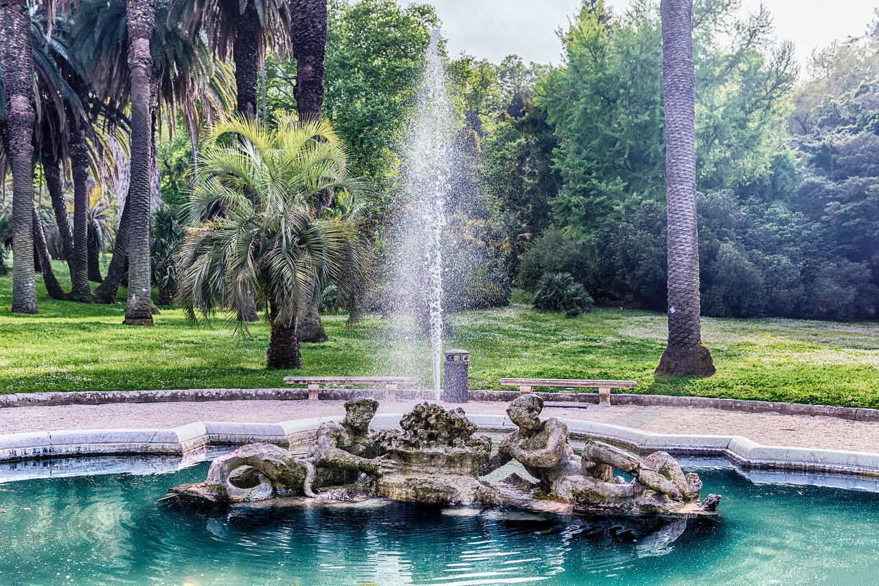 WATER FOUNTAIN IN PARK