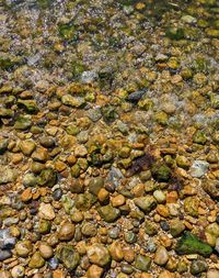 Full frame shot of rocks in water