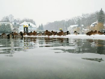 View of lake with houses in background