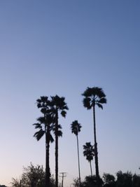 Low angle view of coconut palm trees against clear sky