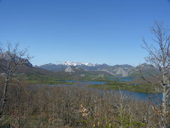 Scenic view of lake against clear blue sky