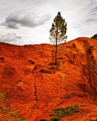 Trees on rock formation against sky