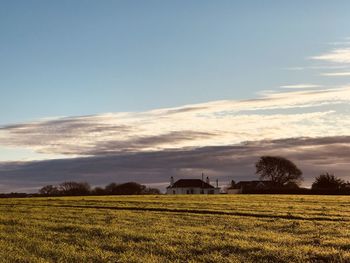 Cornish field in autumnal sunrise light. 