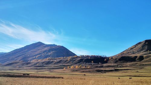 Scenic view of landscape and mountains against blue sky