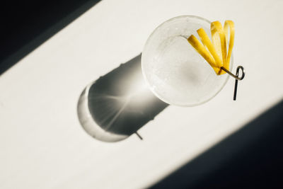 Directly above, soda water with ice and cut lemon peel garnish on cocktail pick in the sun