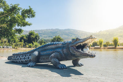 Side view of a reptile against the lake