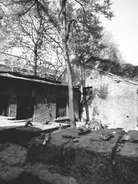 Reflection of trees in water