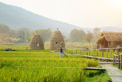 Scenic view of agricultural field against sky