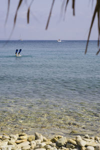 View of person diving into water