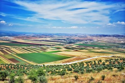 Scenic view of agricultural field against sky