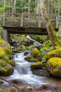 Stream flowing through rocks in forest