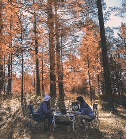 People sitting in forest during autumn
