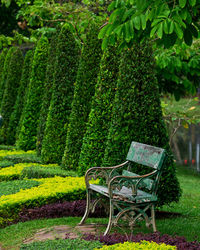 Empty bench in park