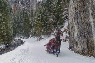 Person riding motorcycle on snow covered land