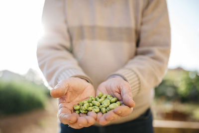 Hands of senior man holding peeled beans