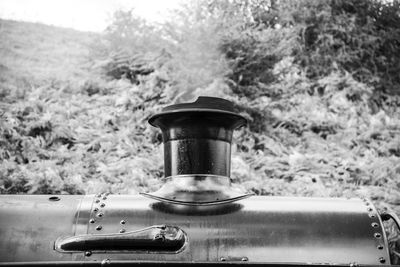 Low angle view of steam train against trees