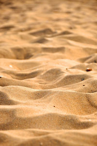 Full frame shot of sand dune