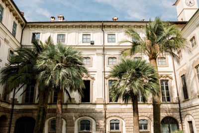 Low angle view of palm trees outside building