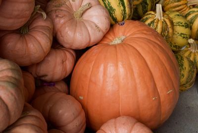 Full frame shot of pumpkins for sale