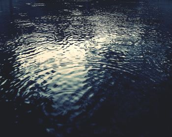 Reflection of trees in water