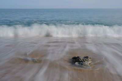 Scenic view of sea