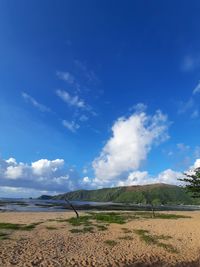 Scenic view of beach against blue sky