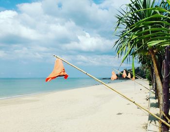 Palm trees on beach