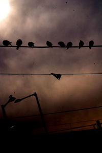 Low angle view of power lines