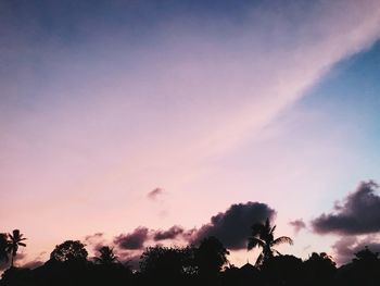 Low angle view of silhouette trees against sky during sunset