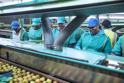 Women working in apple factory
