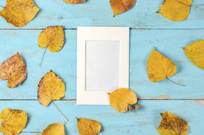 Directly above shot of yellow leaves on table