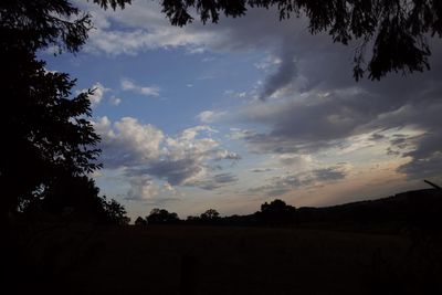 Silhouette trees on field against sky at sunset