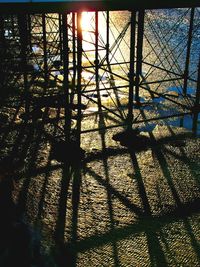 Sun shining through trees