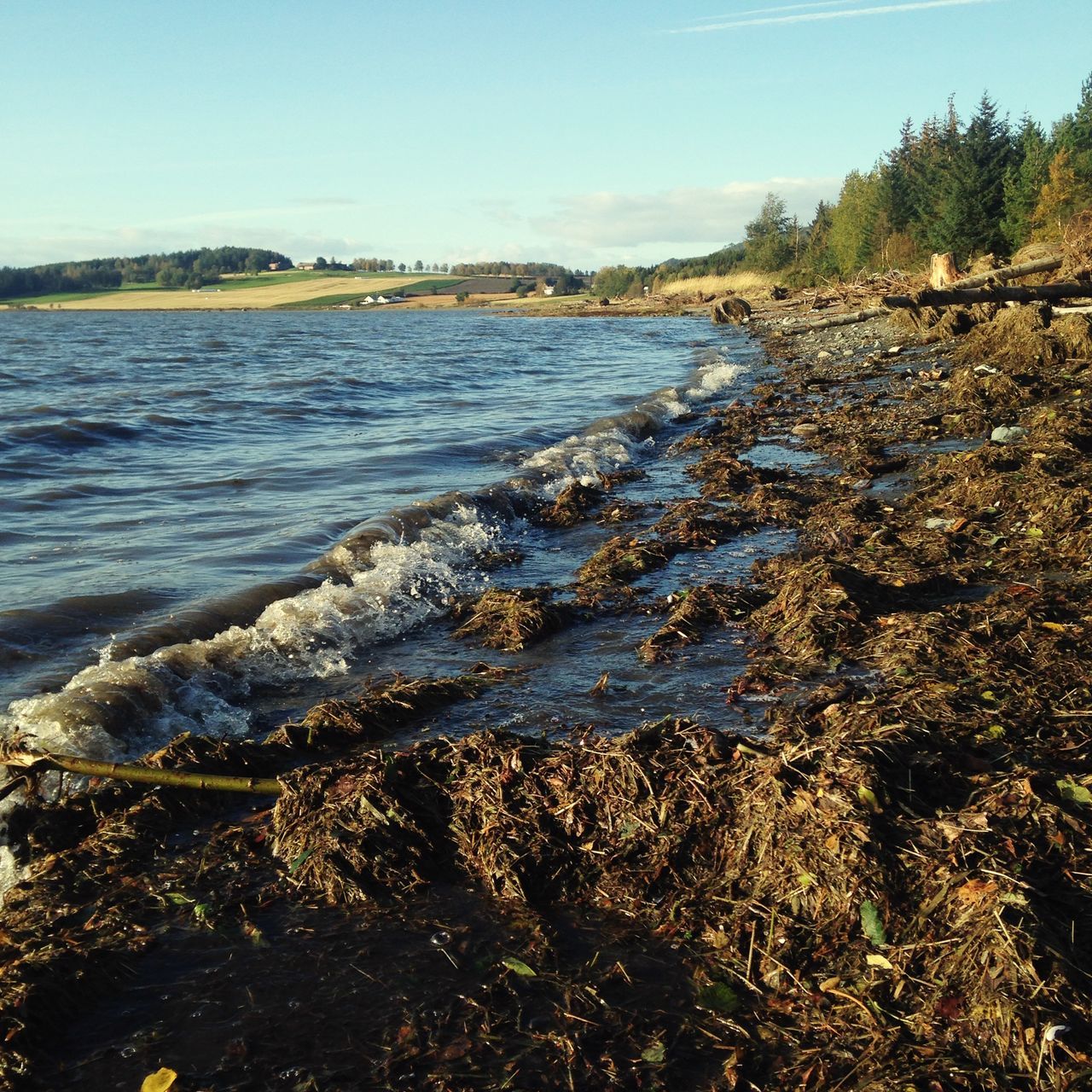 water, tranquil scene, tranquility, scenics, sea, beach, beauty in nature, nature, sky, shore, lake, coastline, idyllic, tree, river, sand, day, outdoors, no people, non-urban scene